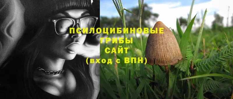 даркнет сайт  Батайск  Галлюциногенные грибы MAGIC MUSHROOMS 